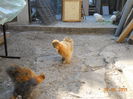DSCN5566