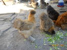 DSCN5573
