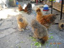 DSCN5574