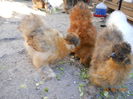 DSCN5575