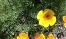 20150529_133233