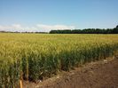 20150602_113543