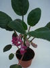 DSC01510