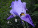 DSCN3965