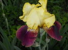 DSCN3968
