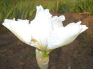 DSCN3970