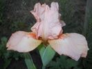 DSCN3971
