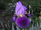 DSCN3986