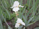 DSCN3987