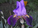 DSCN3989