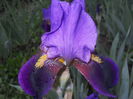 DSCN3992