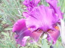 DSCN4015