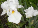 DSCN4024