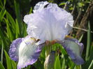 DSCN4028
