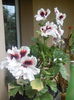 IMG_20150603_145310
