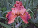 DSCN4055