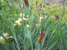 DSCN4059