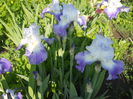 DSCN4063