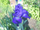 DSCN4065