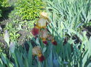 DSCN4066