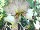 DSCN4067