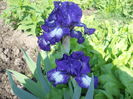 DSCN4069