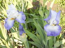 DSCN4072