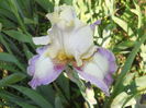 DSCN4077