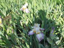 DSCN4078