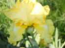 DSCN4079