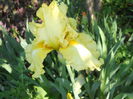 DSCN4080