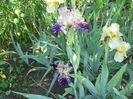 DSCN4086