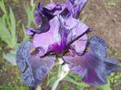DSCN4088