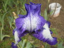 DSCN4089