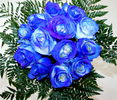buchet-de-13-trandafiri-albastri-2165611
