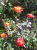IMG_20150602_080712