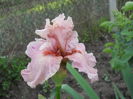 DSCN4158