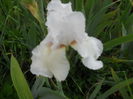 DSCN4176