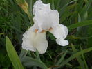 DSCN4177