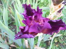 DSCN4178