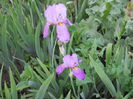 DSCN4179