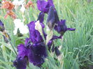 DSCN4181