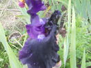 DSCN4182