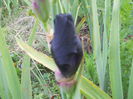 DSCN4183