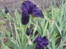 DSCN4186