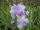 DSCN4187