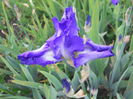 DSCN4188