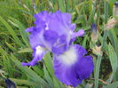 DSCN4189