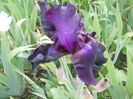 DSCN4193