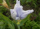 DSCN4196